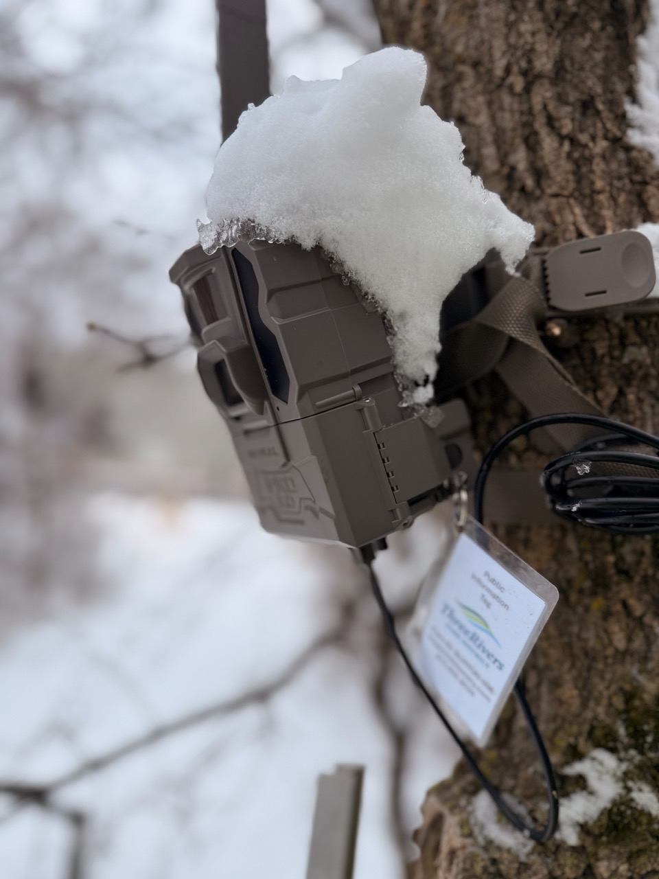 Solar-powered cellular camera covered in snow, demonstrating rugged autonomous operation in harsh winter conditions